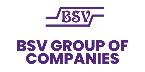 BSV Group Logo